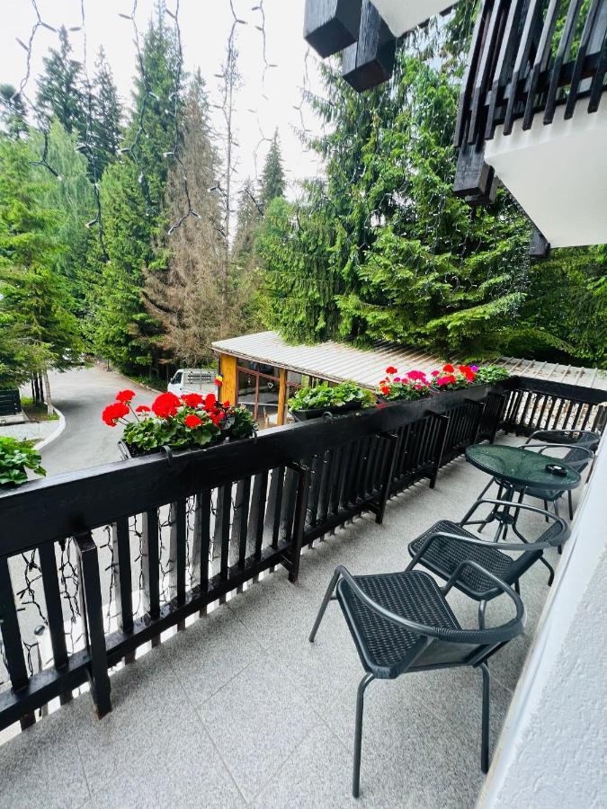 Cabana Din Poienita Poiana Brasov Exterior foto